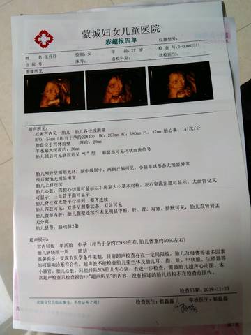 journal_insert_pic_1147687140