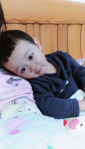 journal_insert_pic_1147872426