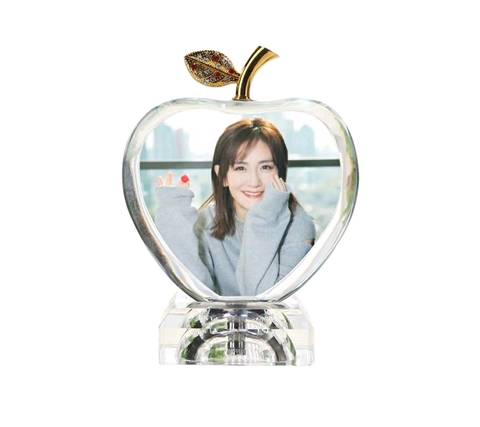 journal_insert_pic_1148415637