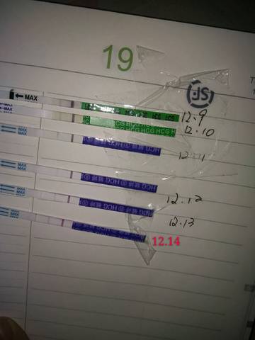journal_insert_pic_1147981830
