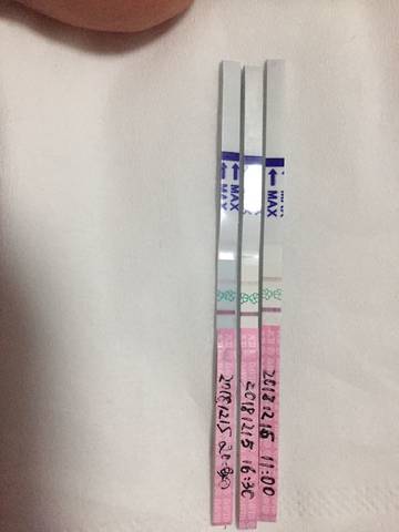 journal_insert_pic_1149036084