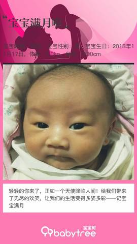journal_insert_pic_1148982022