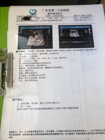 journal_insert_pic_1149622300