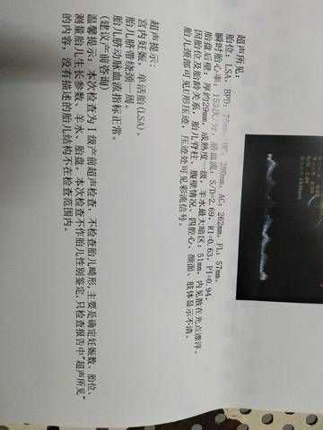 journal_insert_pic_1149581858