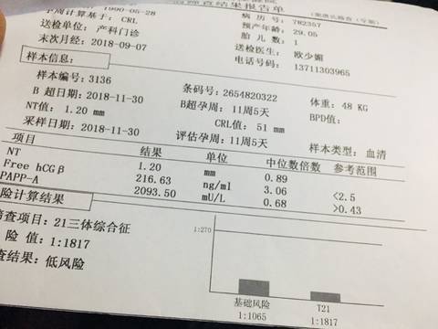 journal_insert_pic_1149703256