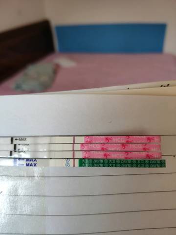 journal_insert_pic_1150211256