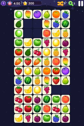 journal_insert_pic_1150258696
