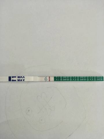 journal_insert_pic_1150241484