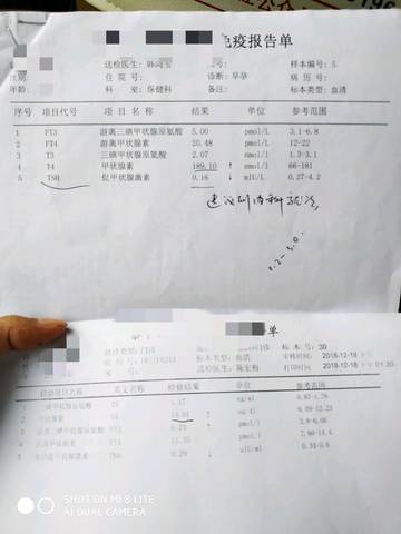 journal_insert_pic_1150882429