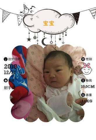 journal_insert_pic_1150630579