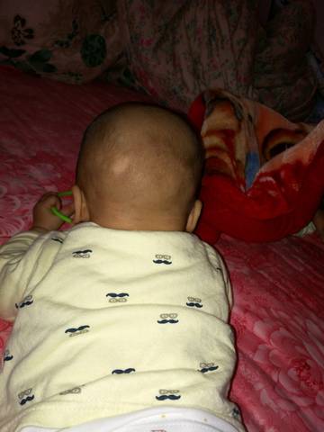 journal_insert_pic_1151411430