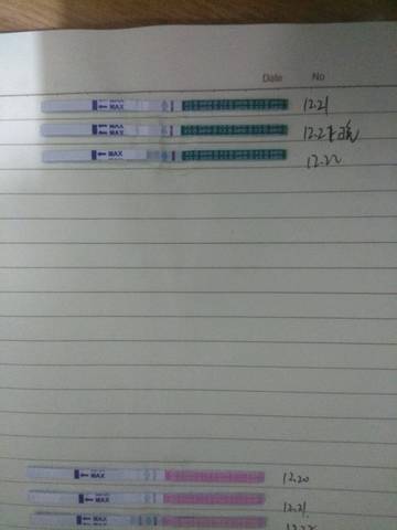 journal_insert_pic_1152262980