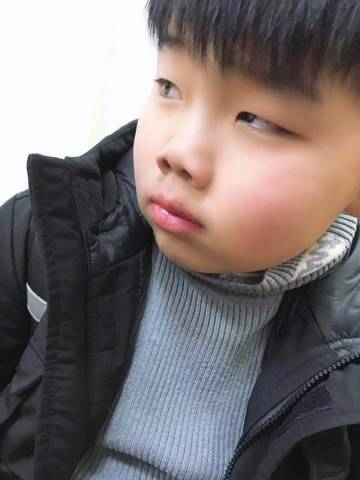 journal_insert_pic_1152723104