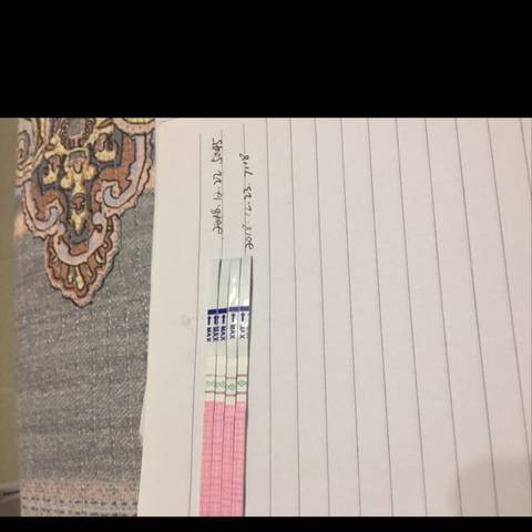 journal_insert_pic_1153127743