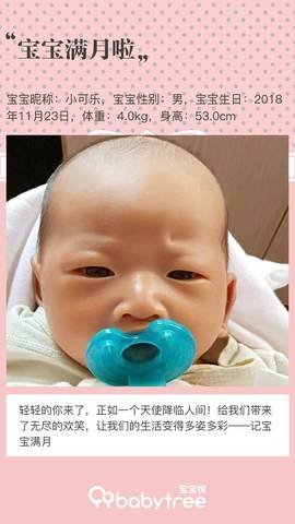 journal_insert_pic_1152834077