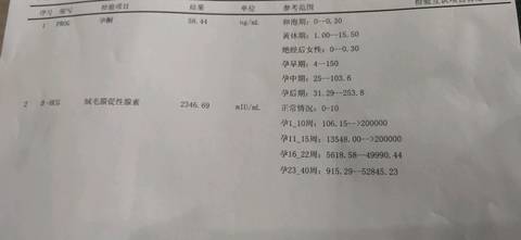 journal_insert_pic_1152817468