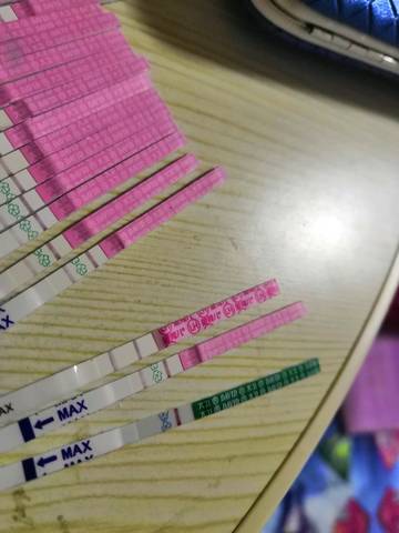 journal_insert_pic_1155266746