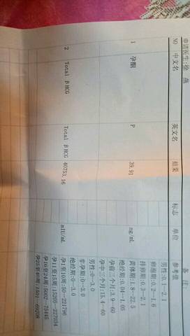 journal_insert_pic_1156081819