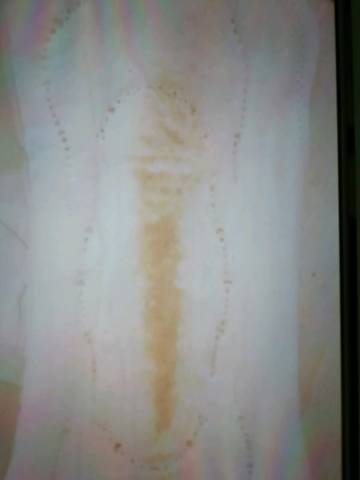 journal_insert_pic_1156138426