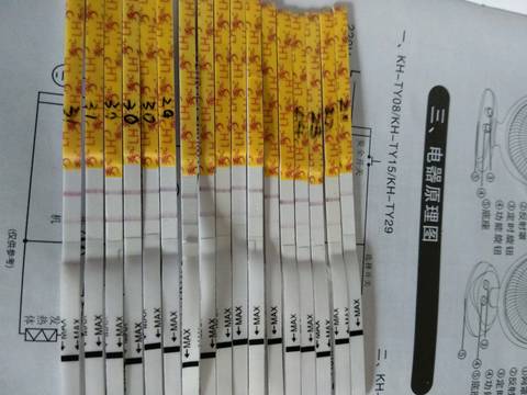 journal_insert_pic_1157458802