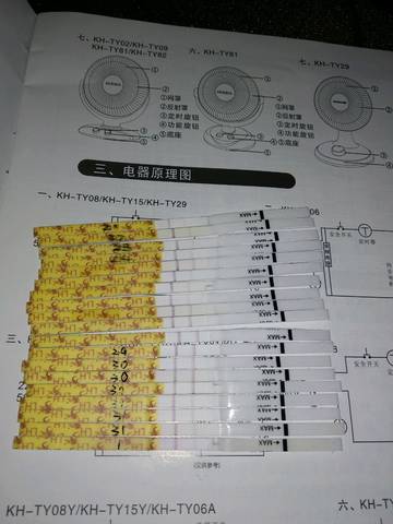 journal_insert_pic_1158036887