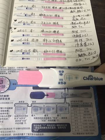journal_insert_pic_1158054289