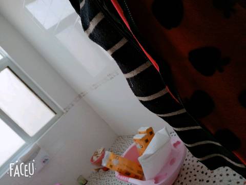 journal_insert_pic_1158311038