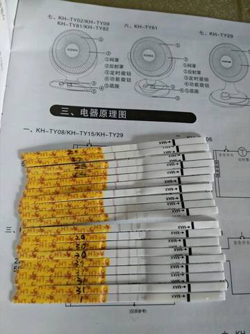 journal_insert_pic_1158036899