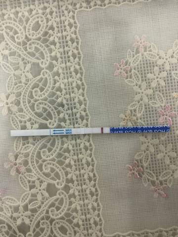 journal_insert_pic_1159093238