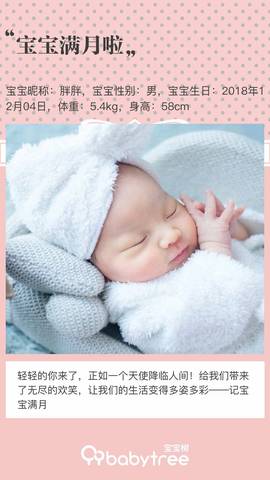 journal_insert_pic_1159292339