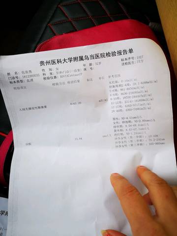 journal_insert_pic_1159778804