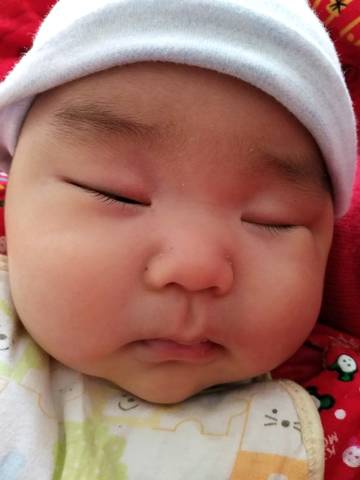 journal_insert_pic_1159783515