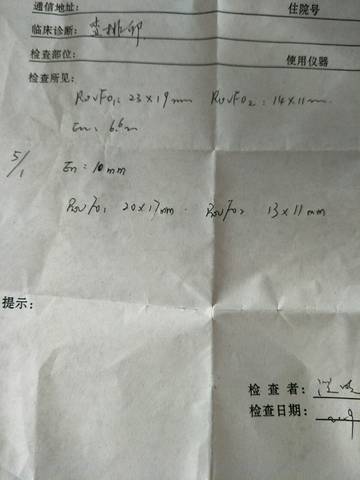 journal_insert_pic_1160423346