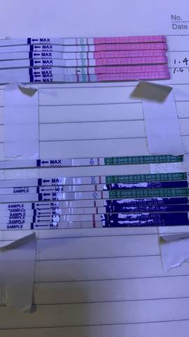 journal_insert_pic_1160207235