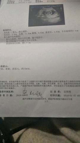 journal_insert_pic_1161654706