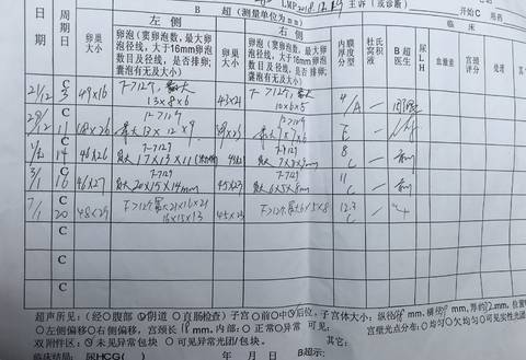 journal_insert_pic_1161589168
