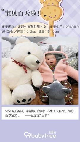 journal_insert_pic_1162326452