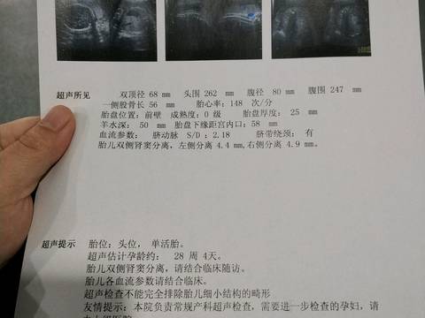 journal_insert_pic_1162468691