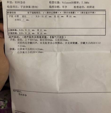 journal_insert_pic_1163300964