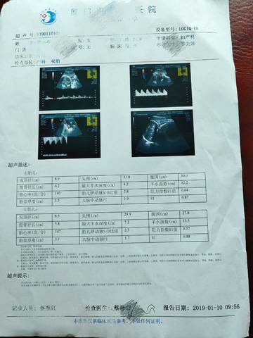 journal_insert_pic_1163354055