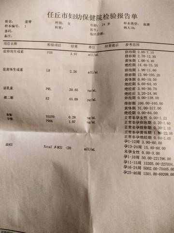 journal_insert_pic_1165036602