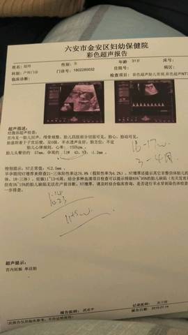 journal_insert_pic_1165207528