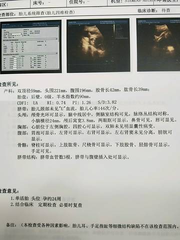 journal_insert_pic_1165763932