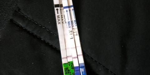 journal_insert_pic_1166756138