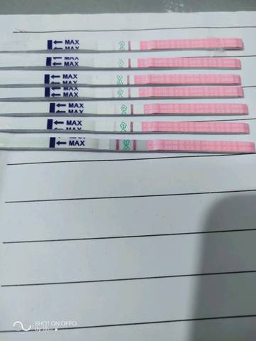 journal_insert_pic_1166699296