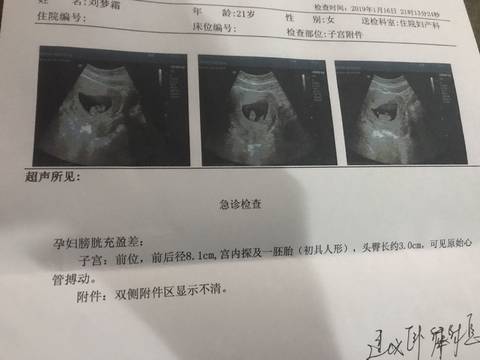 journal_insert_pic_1167184454