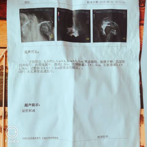 journal_insert_pic_1167424582