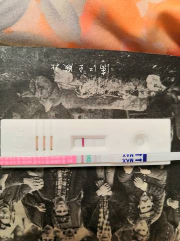 journal_insert_pic_1167390518