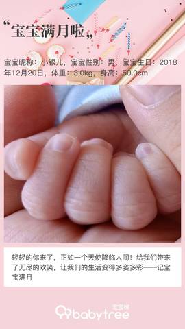 journal_insert_pic_1168387628
