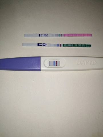 journal_insert_pic_1169863016